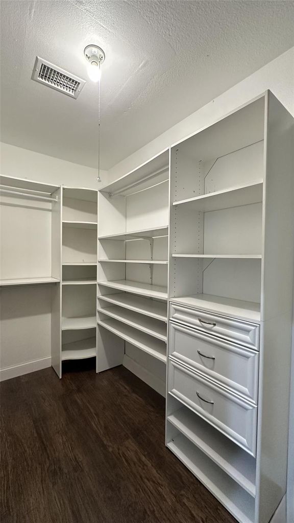 Walk in closet featuring dark wood-style floors