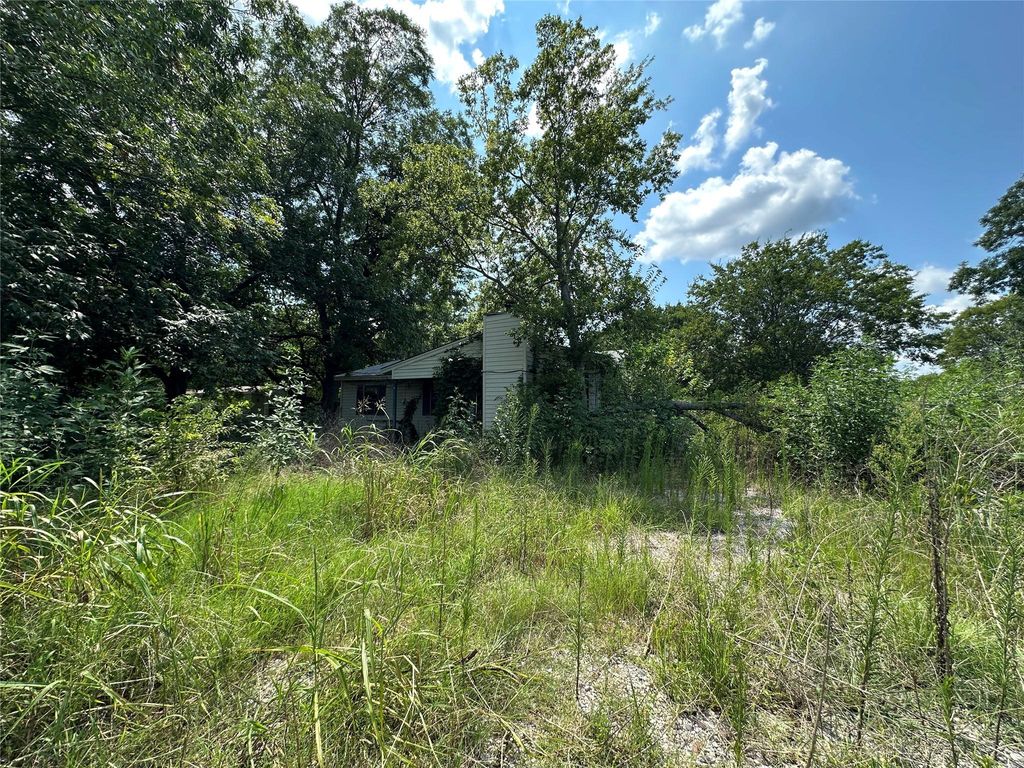View of wooded area