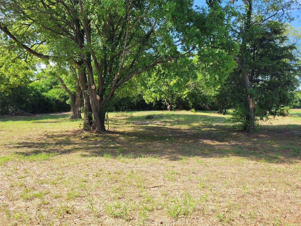 View of green lawn