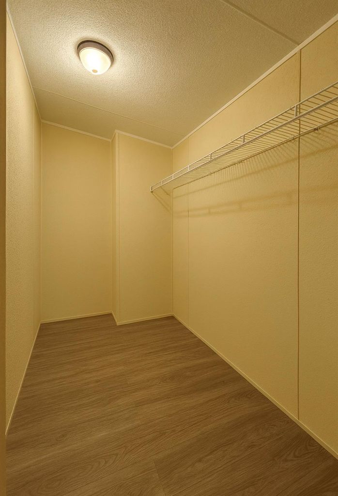 Spacious closet with dark wood-type flooring
